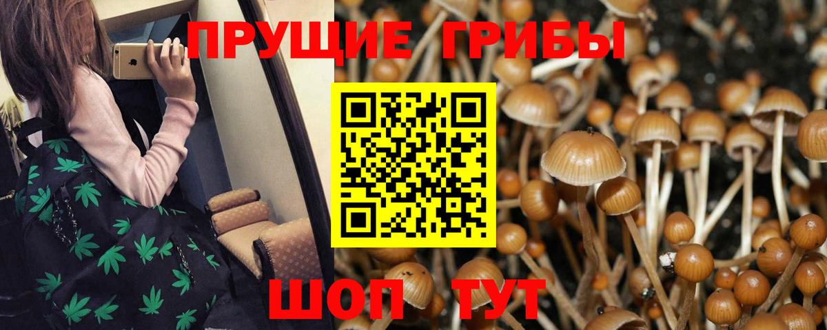 Галлюциногенные грибы GOLDEN TEACHER Саратов